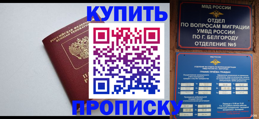прописка регистрация в Светлогорске