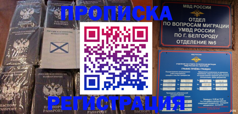 прописка гарантия в Светлогорске